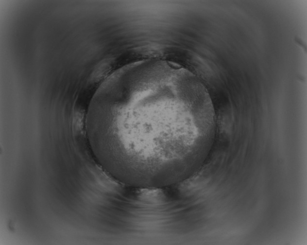 X0000095680185200801221234