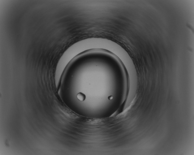 X0000095680186200801221234