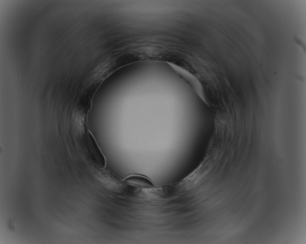 X0000095680188200801221234