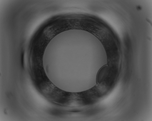 X0000095680189200801221234