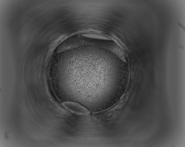 X0000095680193200801221233