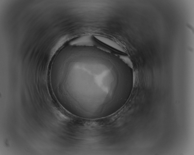 X0000095680195200801221233