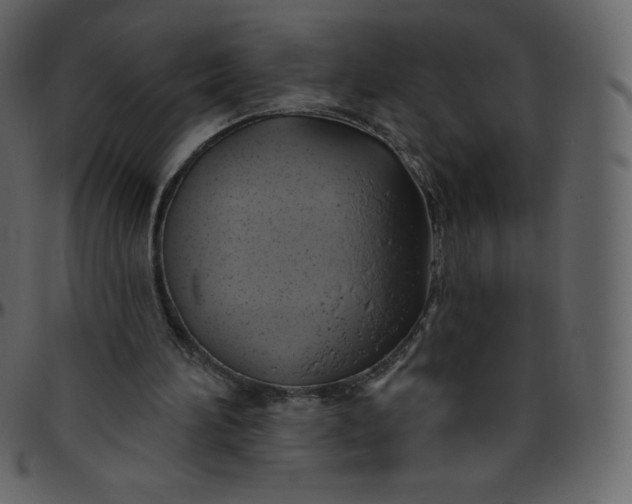 X0000095680196200801221233