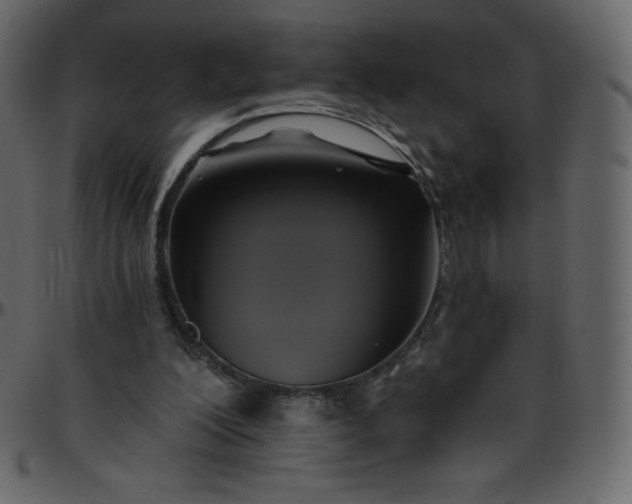 X0000095680200200801221233