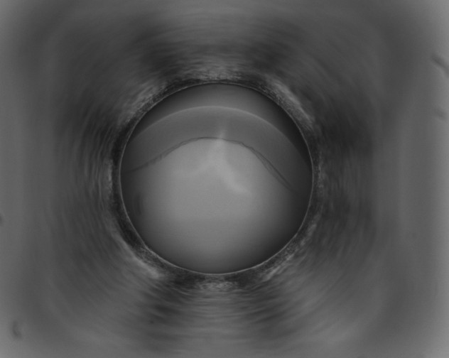 X0000095680202200801221233