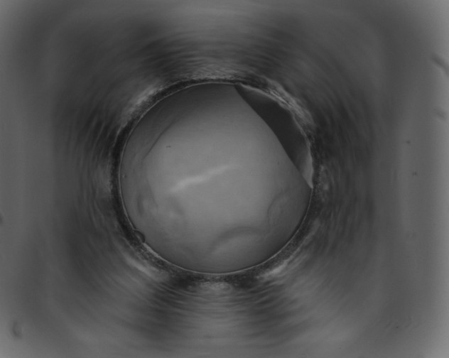 X0000095680203200801221233