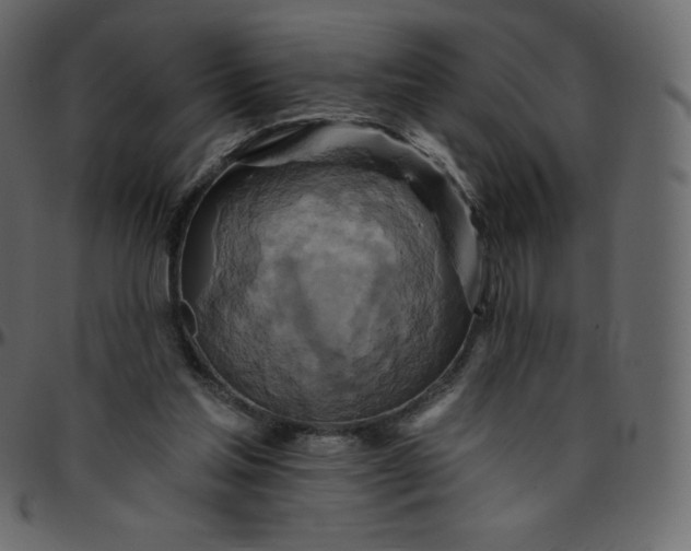 X0000095680205200801221233