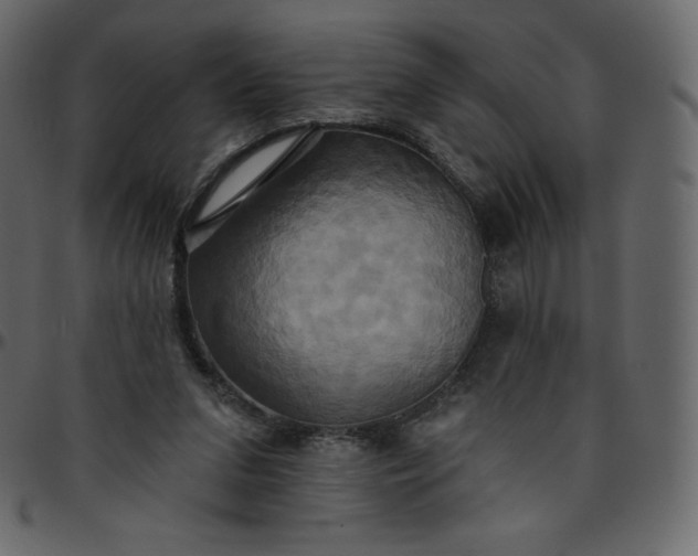 X0000095680207200801221233