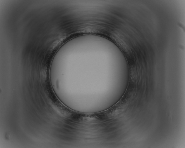 X0000095680208200801221233