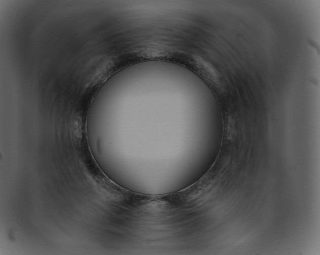 X0000095680210200801221233