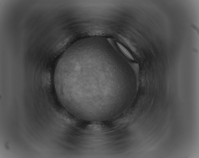 X0000095680211200801221233