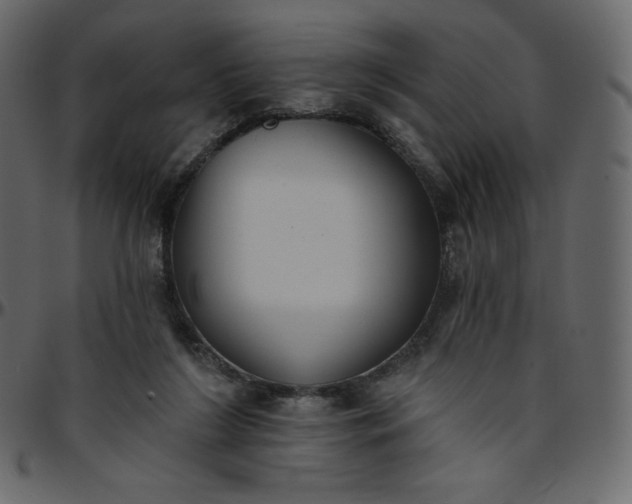 X0000095680212200801221233