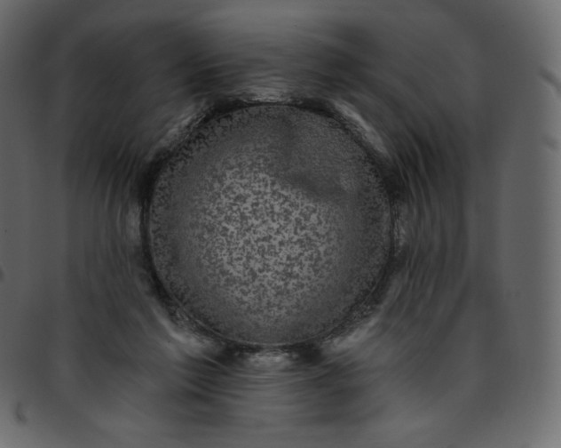 X0000095680213200801221233