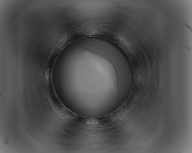 X0000095680214200801221233