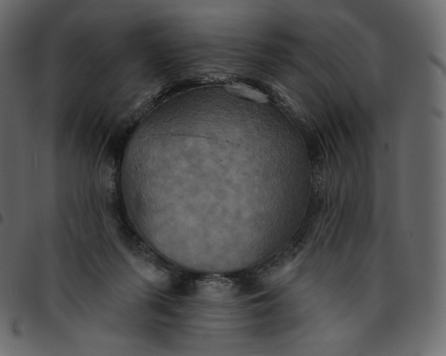 X0000095680215200801221233