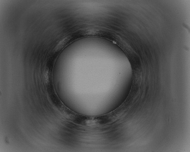 X0000095680216200801221233