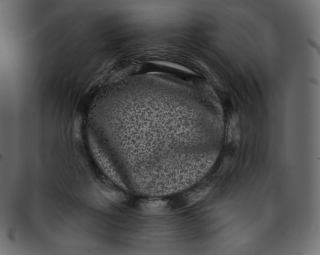 X0000095680217200801221233