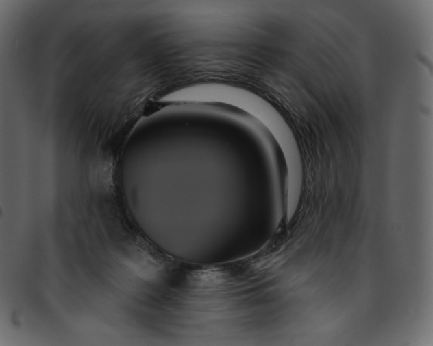 X0000095680219200801221233