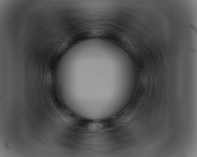 X0000095680220200801221233