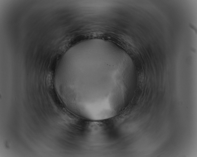 X0000095680222200801221233