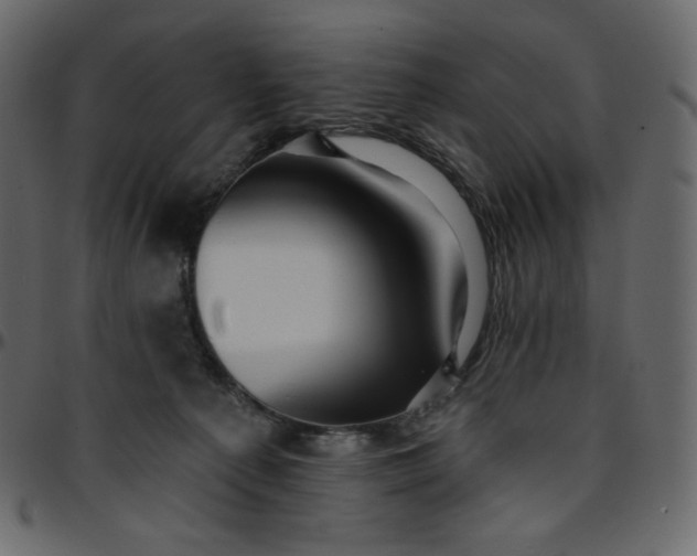 X0000095680225200801221233