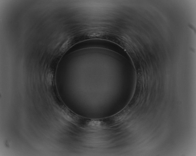 X0000095680227200801221233