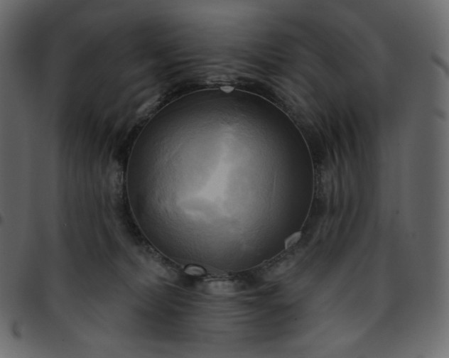 X0000095680228200801221233