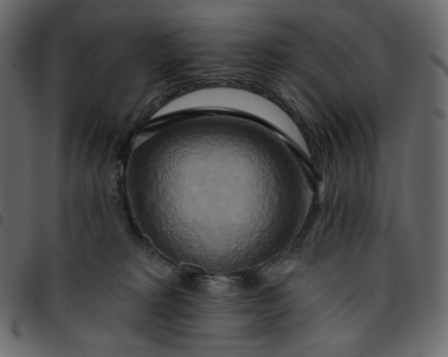 X0000095680229200801221233