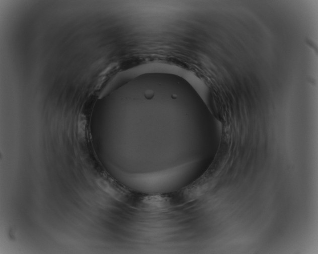 X0000095680231200801221233