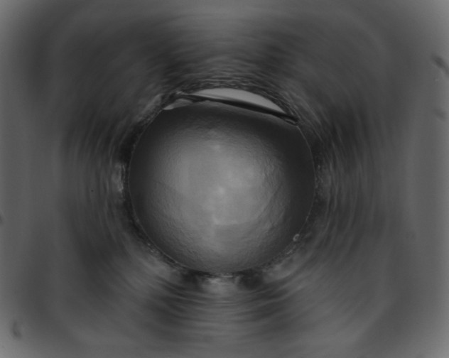 X0000095680232200801221233