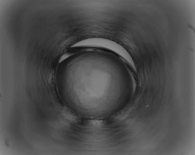 X0000095680233200801221233