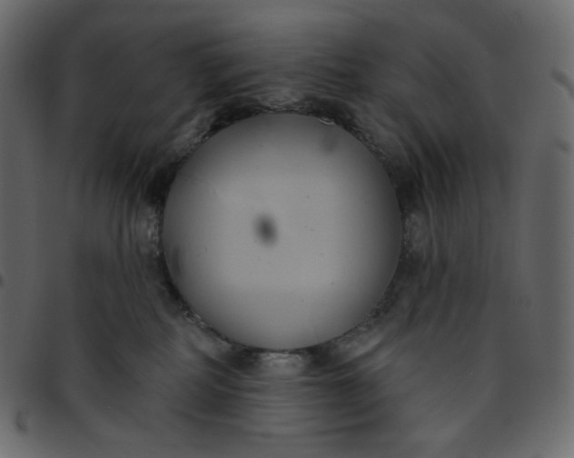 X0000095680234200801221233