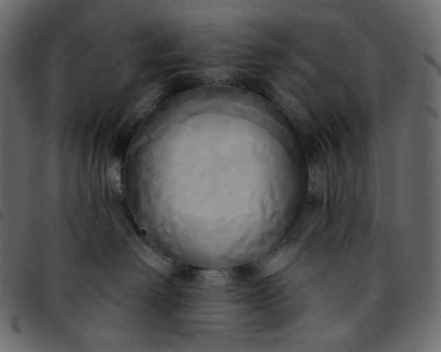 X0000095680238200801221233