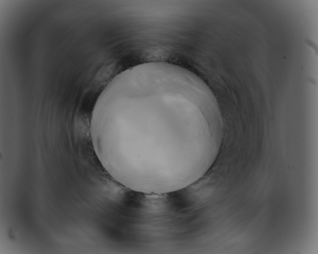 X0000095680240200801221233