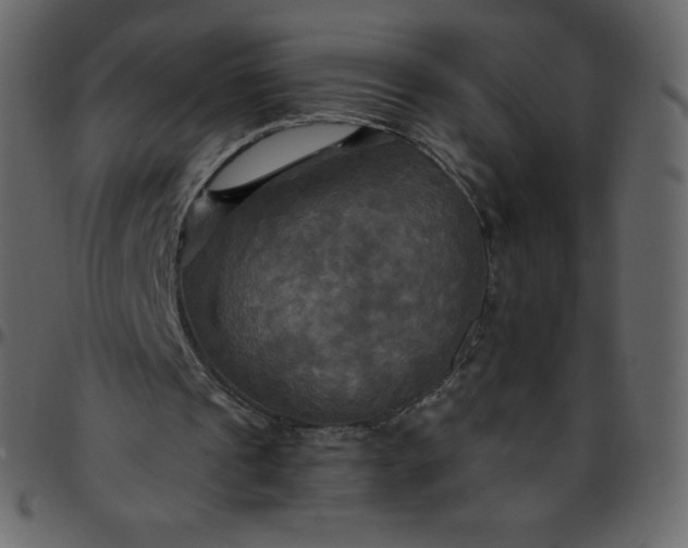 X0000095680241200801221232