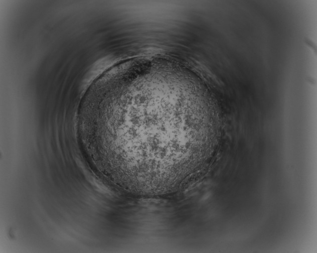 X0000095680242200801221232