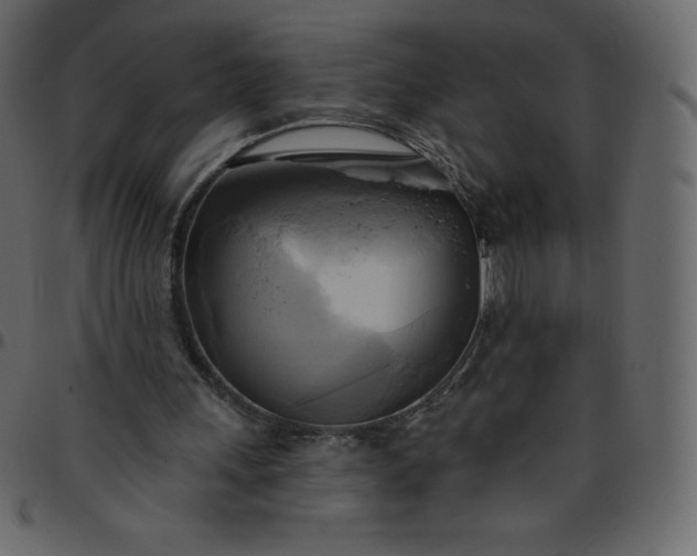 X0000095680243200801221232