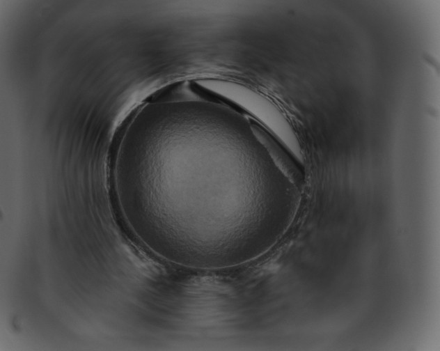 X0000095680244200801221232