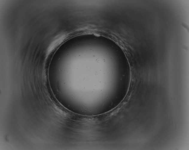 X0000095680245200801221232