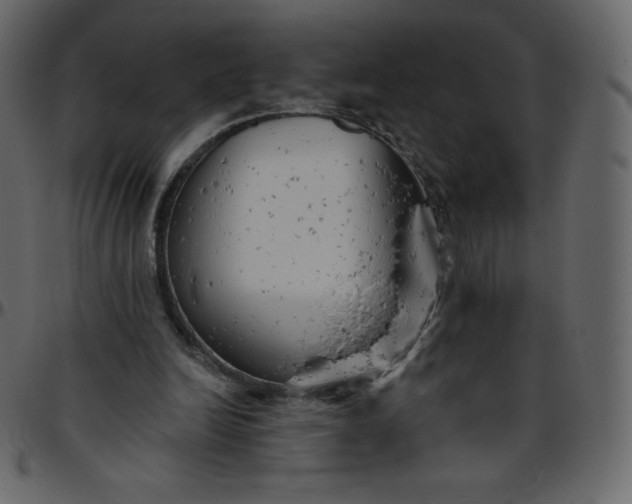 X0000095680246200801221232