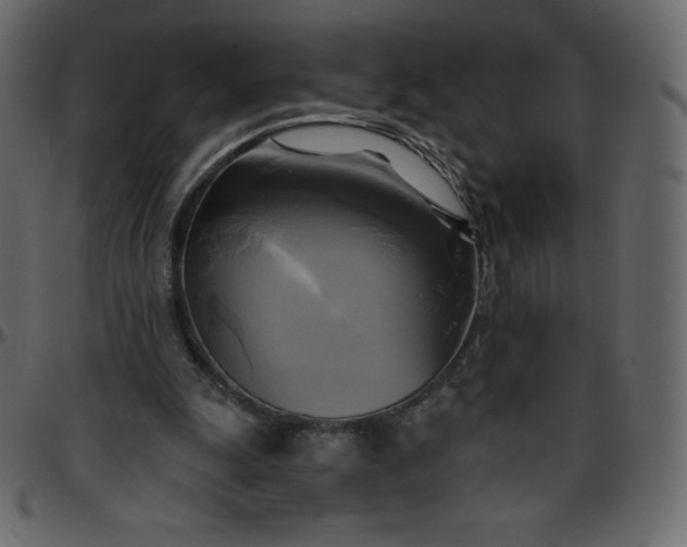 X0000095680247200801221232