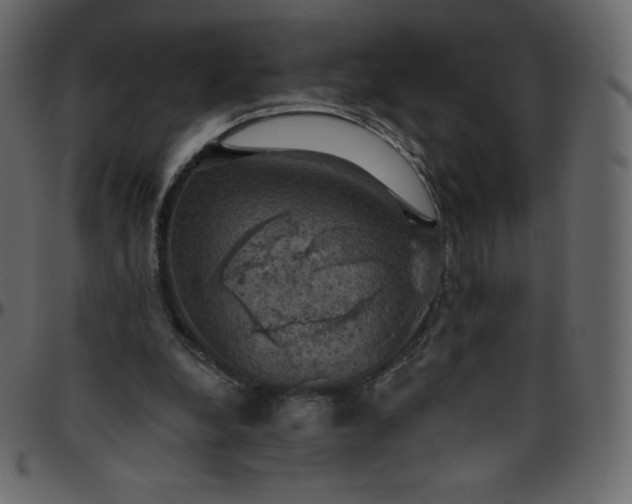 X0000095680248200801221232