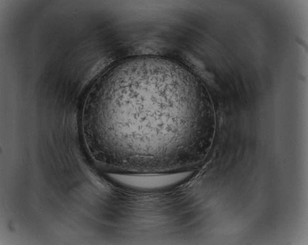 X0000095680250200801221232
