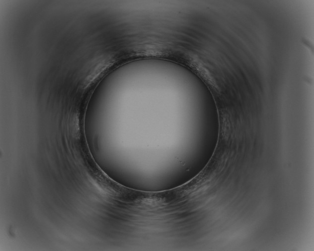 X0000095680251200801221232