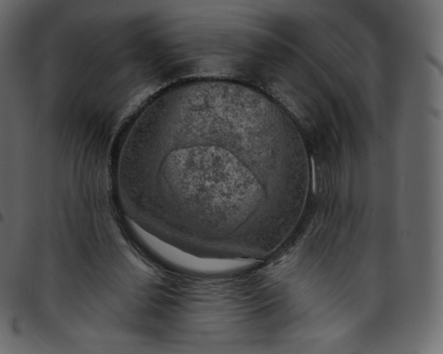 X0000095680252200801221232