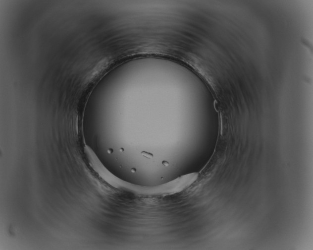 X0000095680253200801221232