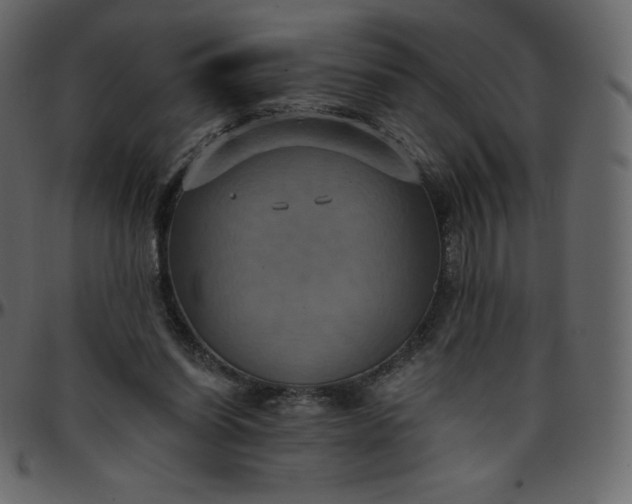 X0000095680254200801221232