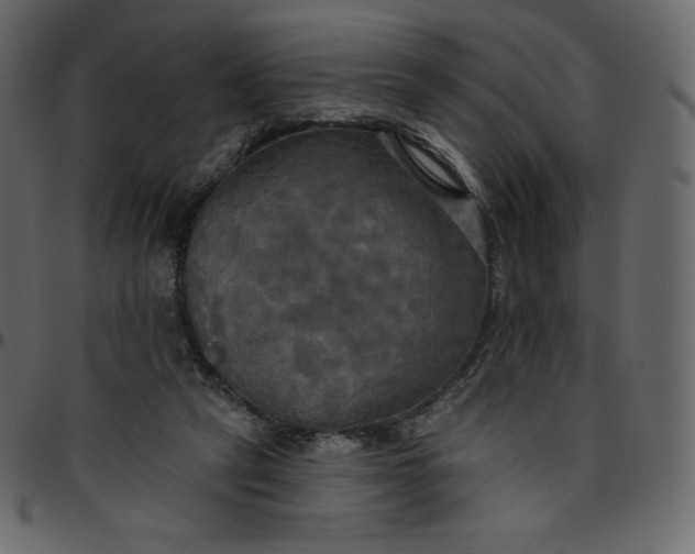 X0000095680257200801221232