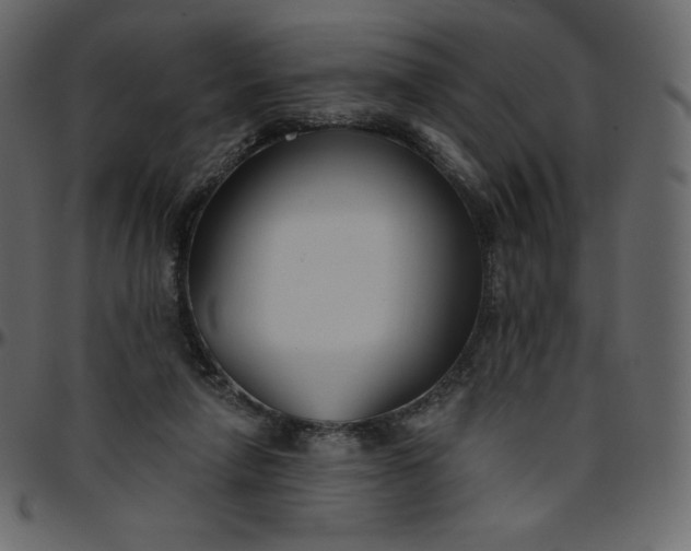 X0000095680258200801221232