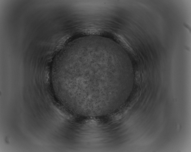 X0000095680259200801221232